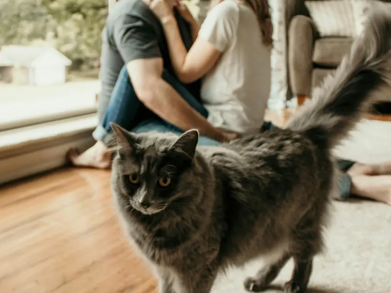 男人爱不爱你，他的朋友圈会告诉你答案