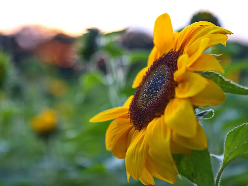 一段感情有没有未来，就看这两点！