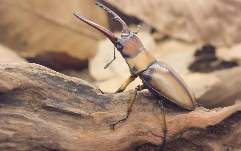 感情是否长久，就看能不能坚持这两点