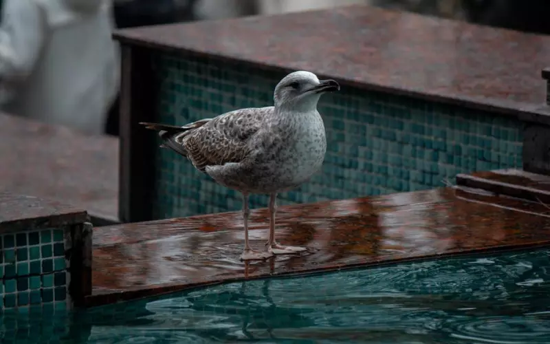 女人是否出轨取决于她的男人(老公出轨后心情时好时坏)