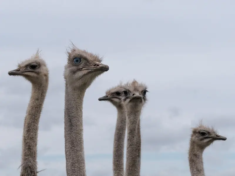 女人过得好不好，这4种表现不会撒谎！