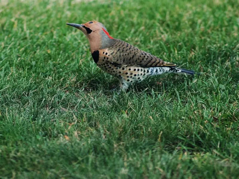 女人是不是真的单纯，看这三个地方就知道了！