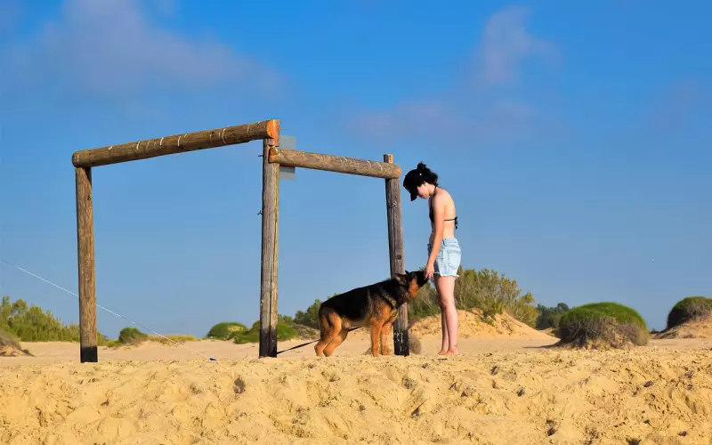 女人爱不爱你，身体比语言更诚实！