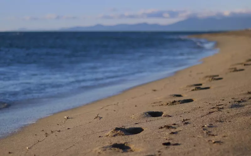 他爱不爱你，不在嘴上，全在行动里。