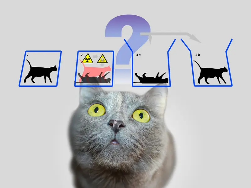 对方到底值不值得挽回，并不是以结果来论定，要看过去交往时