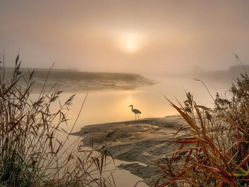异性之间有没有“纯”友谊，就看有没有做过这4件事！