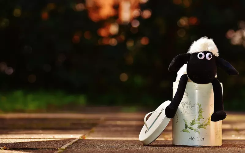 哪些情侣分手后能够重新做朋友？