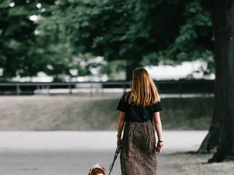 这18条直戳心窝的网易云走心热评，哪一条打动了你？