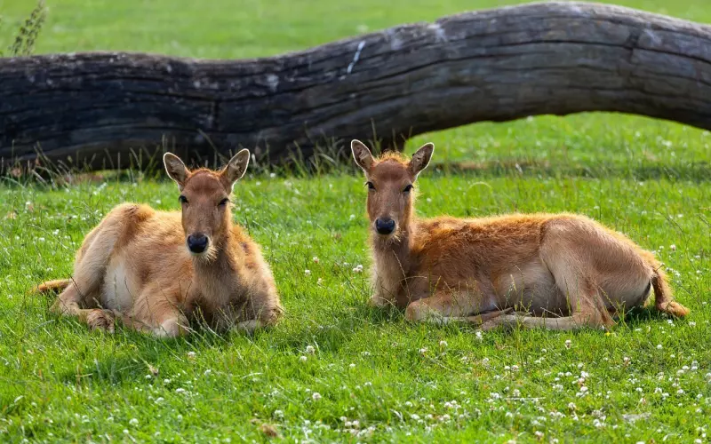 佩戴佛牌的规矩哪些合理哪些荒唐？