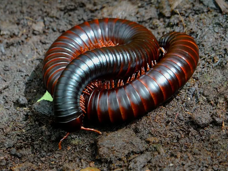 男人这辈子最忘不了的女人是哪几个？听听这几个男人的真心话！