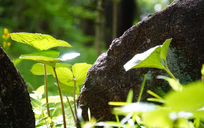 谁是你可以随时说话的人（深度好文）。