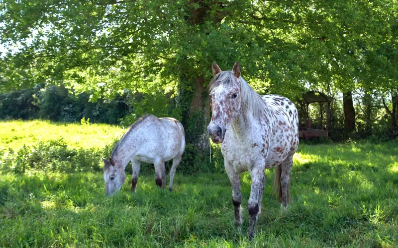 爱上一个，彼此都有家庭的人，其中滋味，谁能懂得？