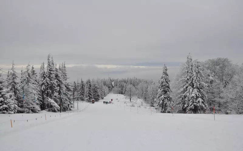 爱上一个，彼此都有家庭的人，其中的滋味，谁能懂得？