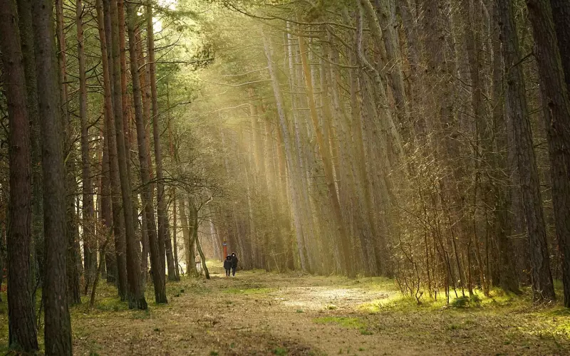 谁在乎女人想什么？ 在一段关系里，你才是最重要的人