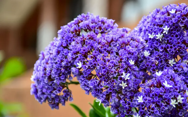 你以为你是谁？（轰动朋友圈）