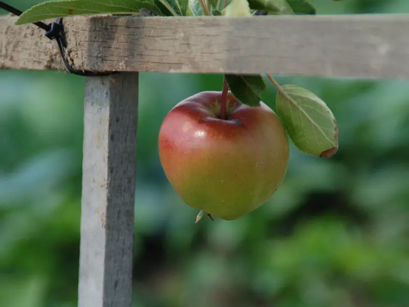 你以为你是谁！认清自己（深度）！人啊，一定要认清自己的位置！