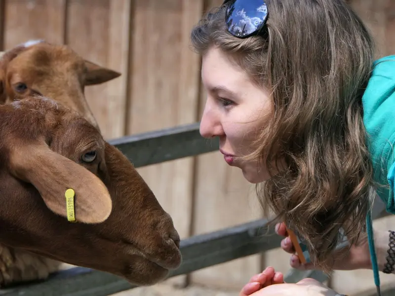 婚姻出现了问题到底是谁的原因？有些人说婚姻里没有对错，但是有因！因到底在哪里呢？挽回婚姻感情专家崔老师在线一对一咨询服务开始了！