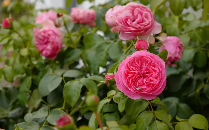 2019，谁是你的命中贵人？