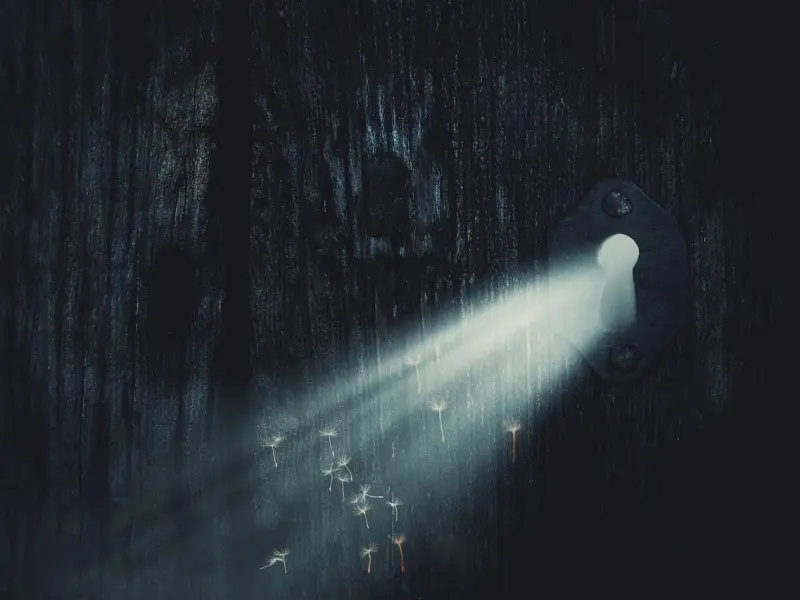 谁说姐弟恋是个雷区，把握好关键点，也能修成正果