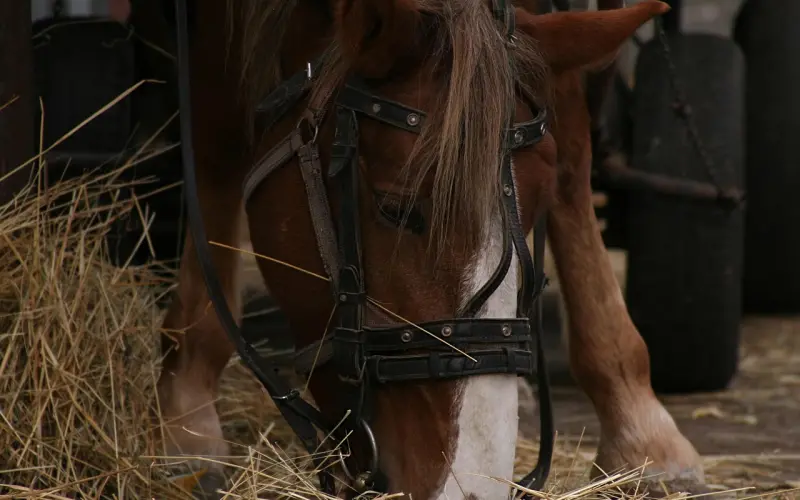 谁信谁，谁懂谁！（精辟）