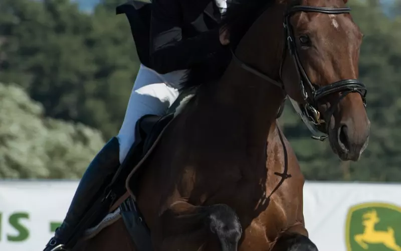 为什么我这么奋不顾身挽回这个男人？