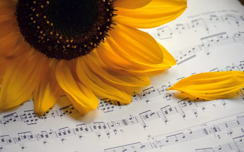 为什么会好心没好报？