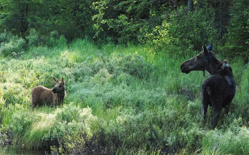 男人为什么对你越来越冷漠