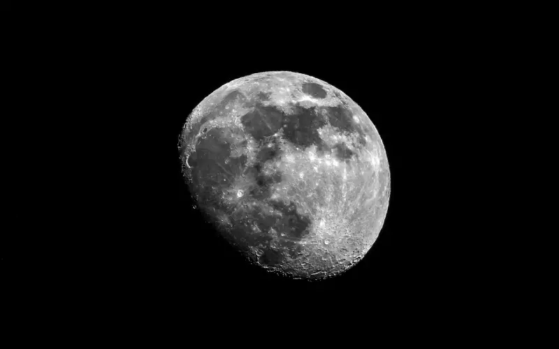 为何现在出轨的人越来越多？想了解婚外情请先弄懂婚姻的意义