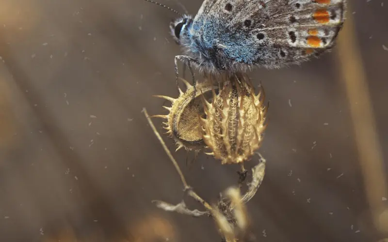 为什么睡到男神的都是普通姑娘？