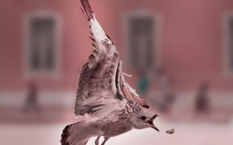 为什么太多懂事的女人，大多数都不幸福？