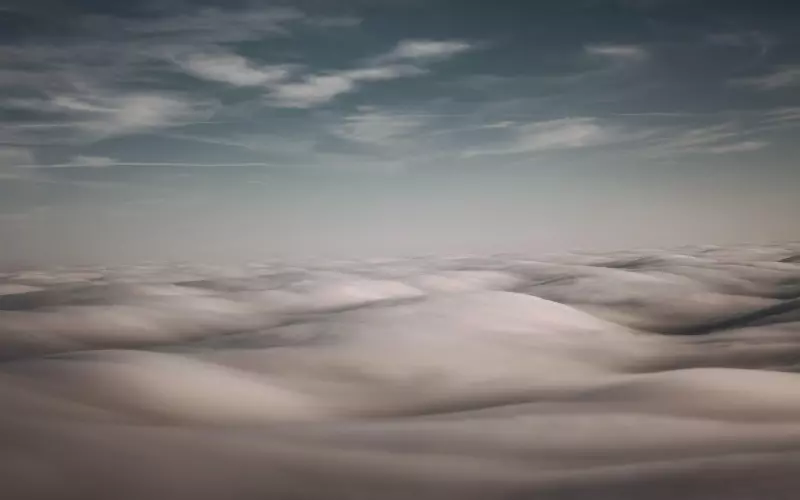 为什么柔而不弱的女生更容易吸引男人？