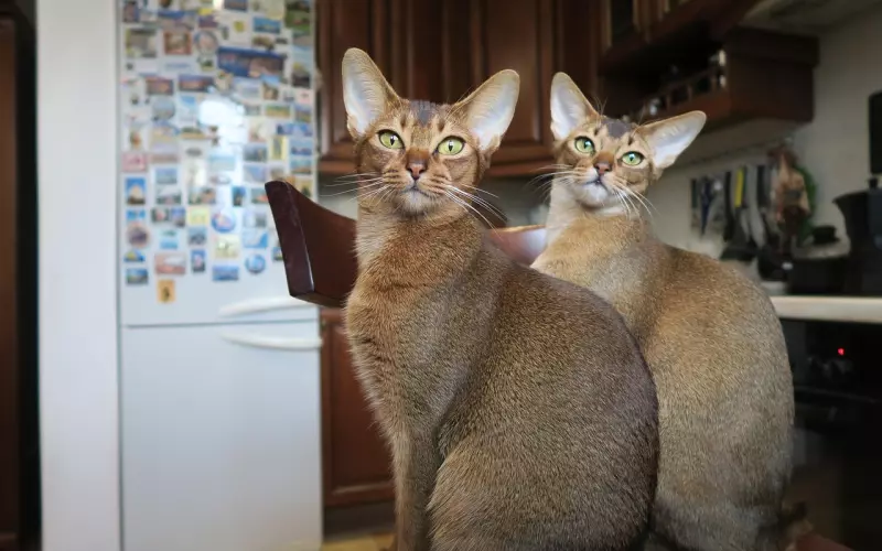 为何泰国人比我们穷反而比我们快乐