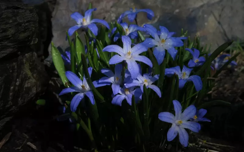 为什么一般为挽回爱情而努力的大多数是女人