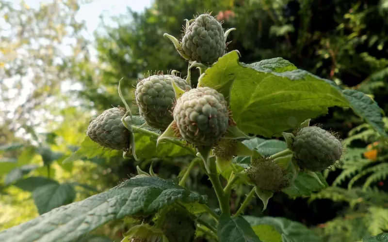 为什么你在感情当中总是处于低位被动局面？