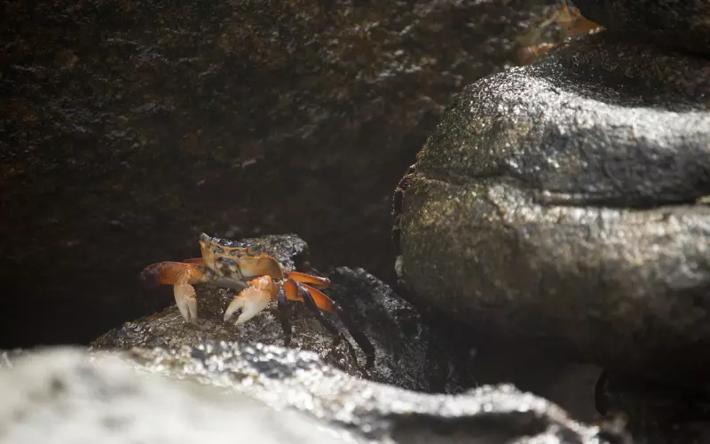 为什么你还是一个人呢？ | 原创