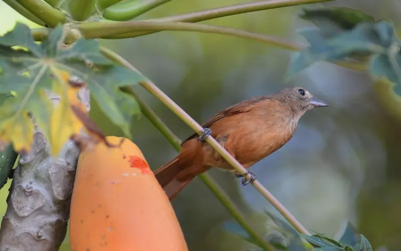 为什么你挽回得这么辛苦？因为你不知道这三点