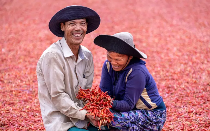 为什么44岁离过婚的贾静雯，能再次收获幸福呢？