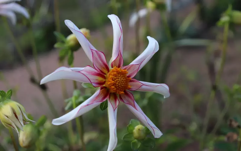 为什么不能和前任复合？和前任复合有哪些不好？