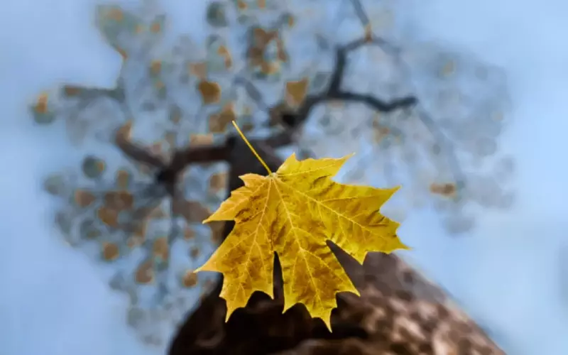 为什么见过一面后就再也约不出来了？