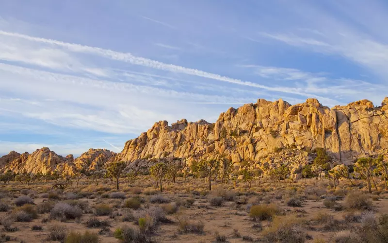 为什么我们想约的人约不出来