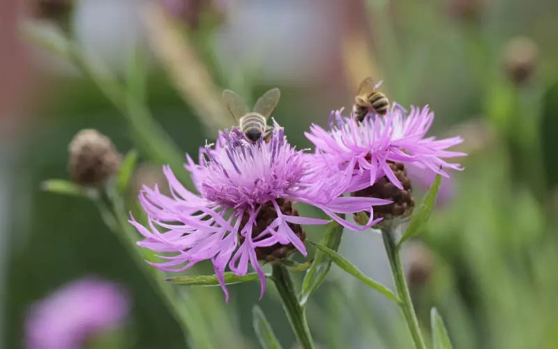 总是忘不掉前任是什么原因？