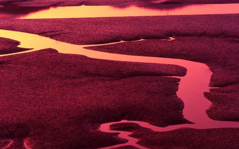 为什么你会忘不了前男友