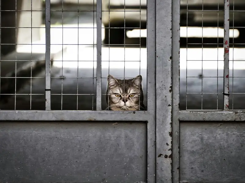 为什么黄渤说，徐峥演《我不是药神》是完全靠脸？