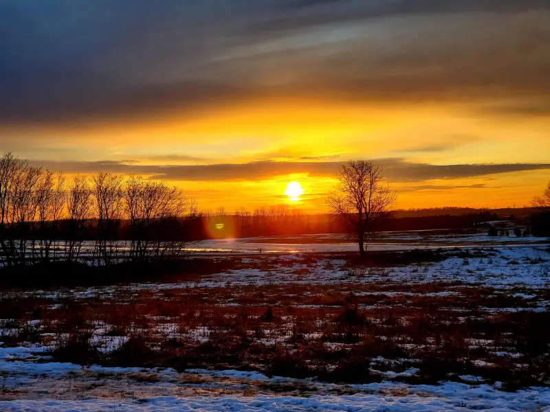 为什么为你付出了这么多，换来的却是伤害：男人冷淡的真相！