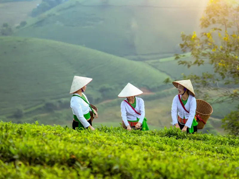 老婆提出离婚的原因？离婚了想挽回，要如何挽回老婆？