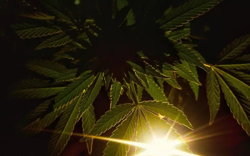 你们为什么会慢性分手