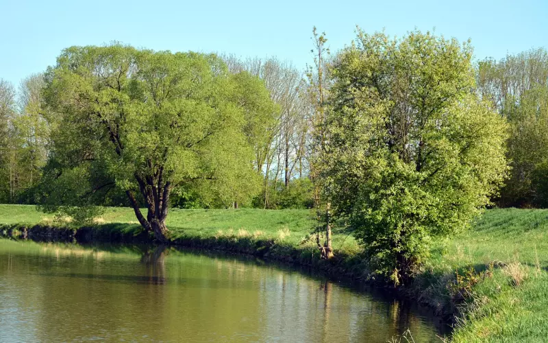 为什么挽回男友失败了?挽回失败的5个原因