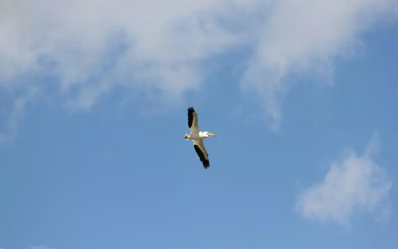 为什么你刚提出分手，男友就立即答应？