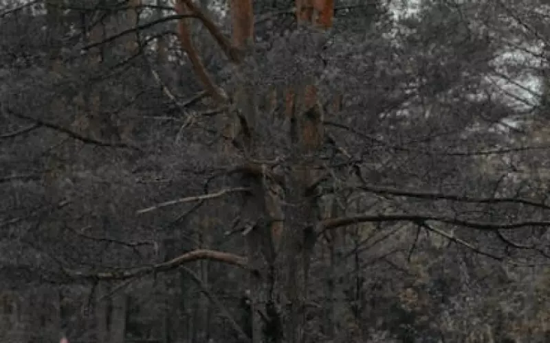 男朋友突然说分手是什么原因？是因为不够爱还是真的不爱了 ...