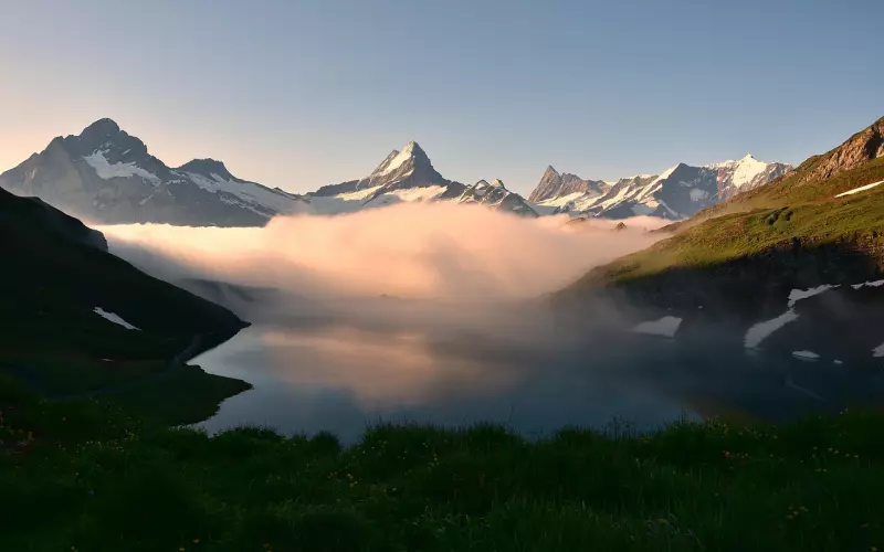 章子怡为什么跟汪峰结婚？这个真相你从不知道！